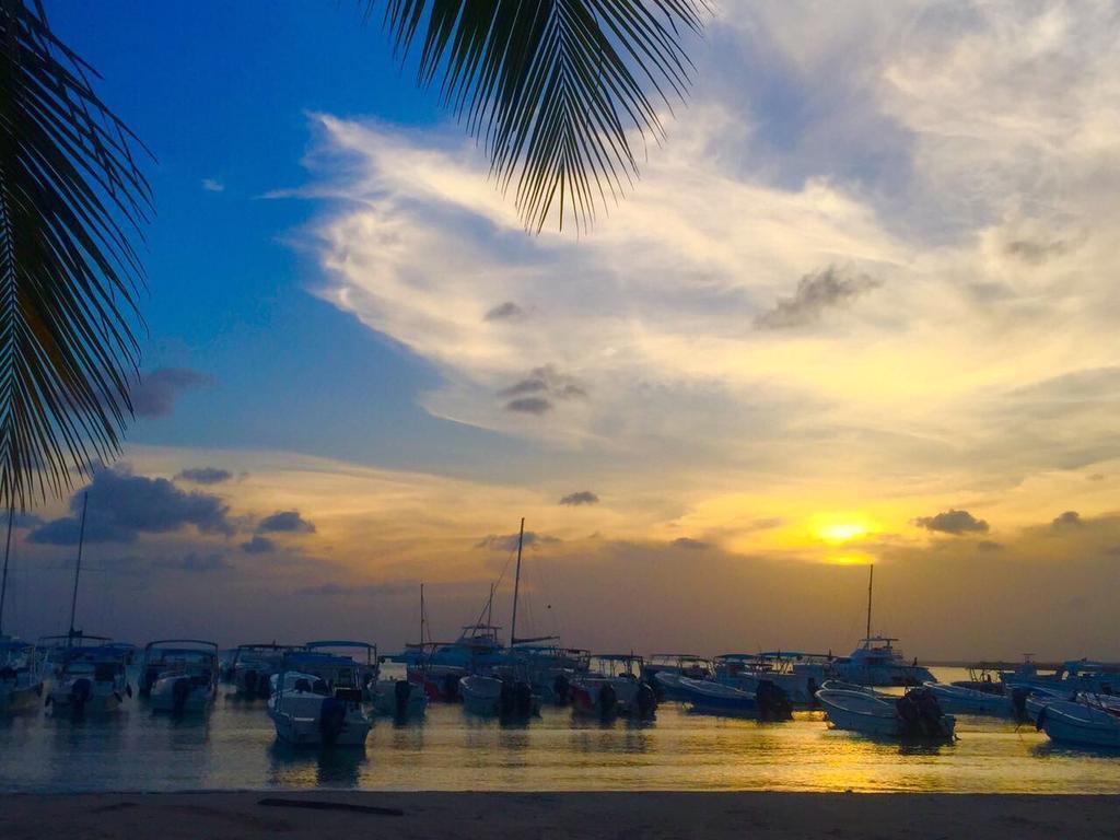 Albergo El Pulpo, Bayahibe Ngoại thất bức ảnh
